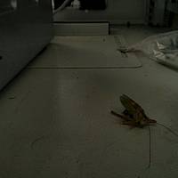 IMG 20140507 153542